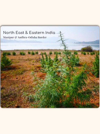 NorthEast & Eastern India